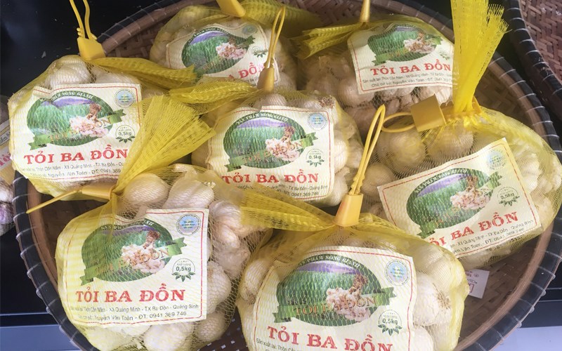 Tỏi tía Quảng Minh