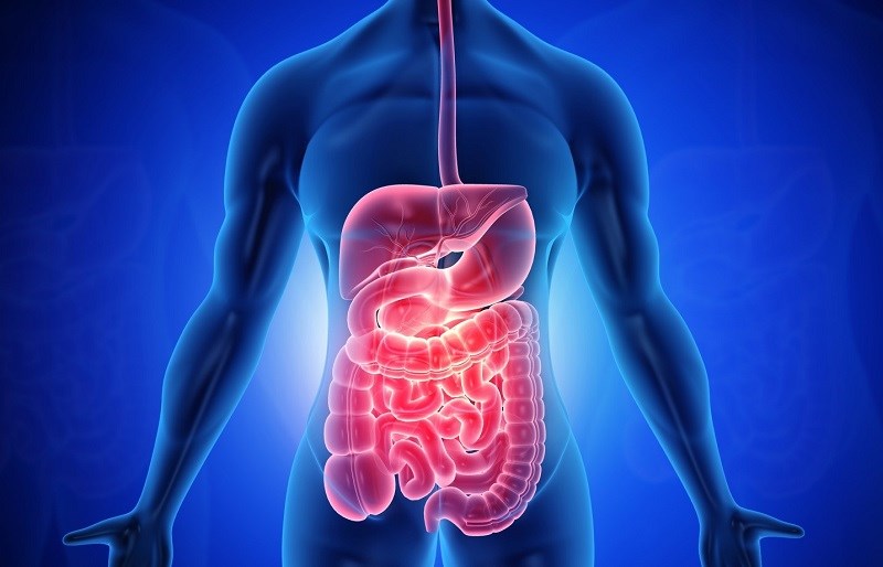 Có thể cải thiện tiêu hóa