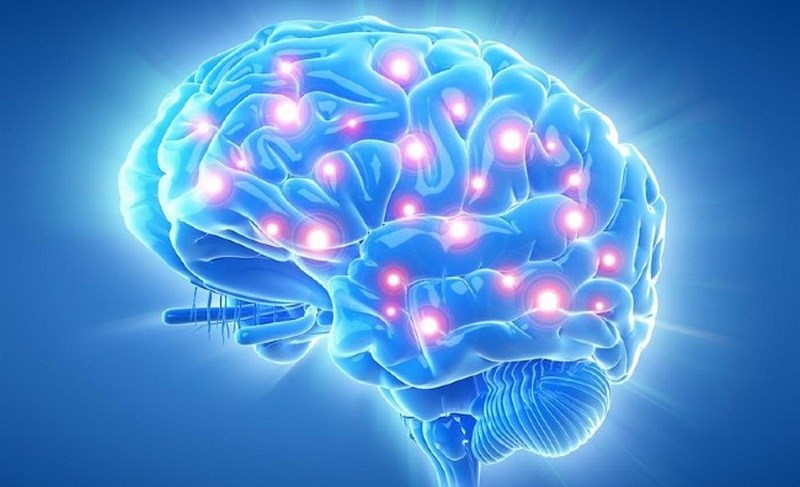 Cải thện sức khỏe não bộ và hệ thần kinh
