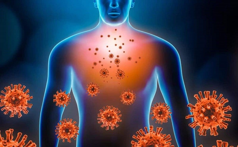 Tăng cường chức năng miễn dịch