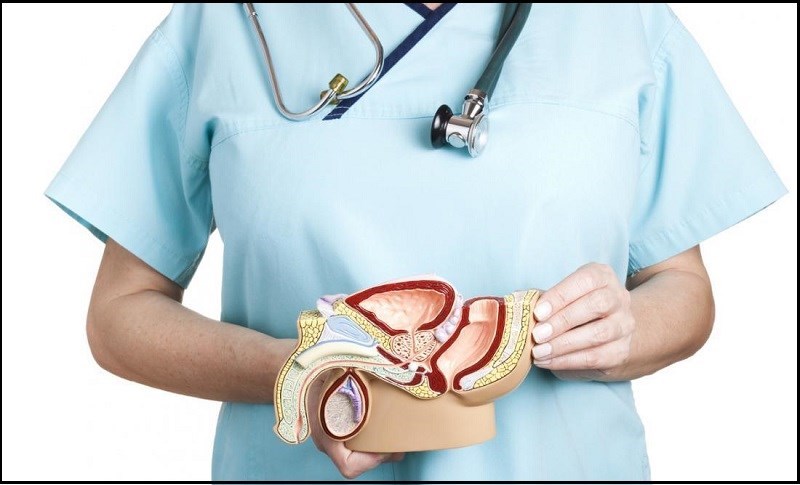 Cải thiện sức khỏe tuyến tiền liệt và bàng quang