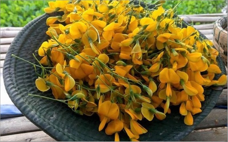 Bông điên điển