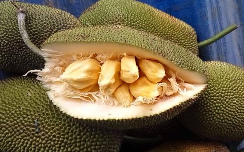 Mít Tố Nữ 