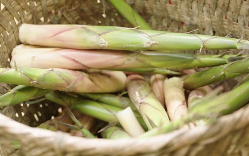 Măng sặt