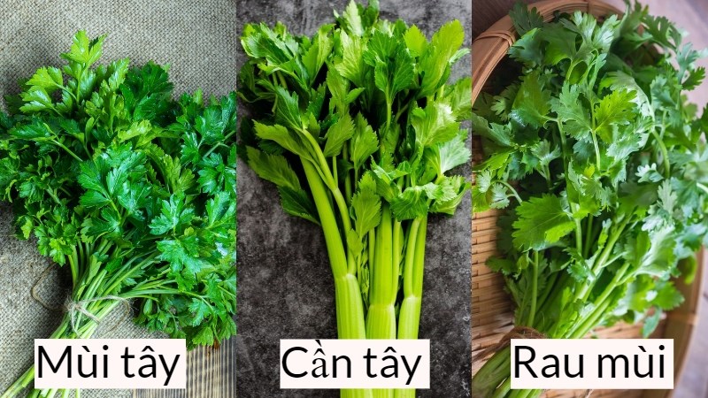 Rau Mùi Còn Gọi Là Rau Gì Rau Mùi Tây Parsley Là Gì Có Tác Dụng Gì Phân Biệt Mùi Tây Cần 3992