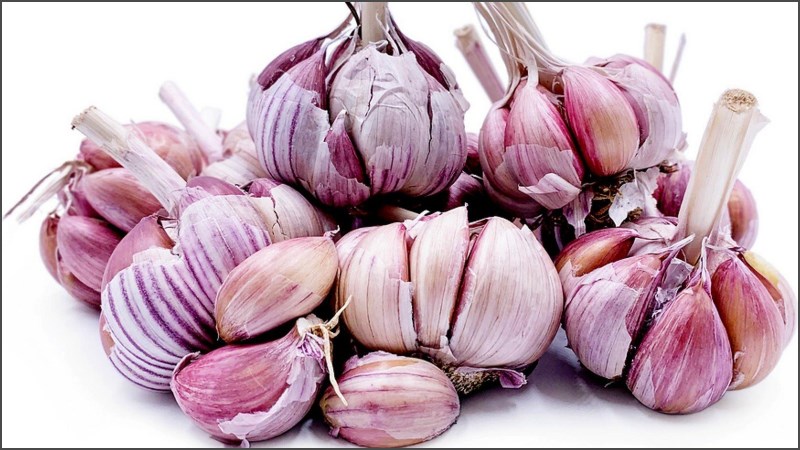 Tỏi sọc tím