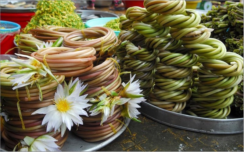 Bông súng
