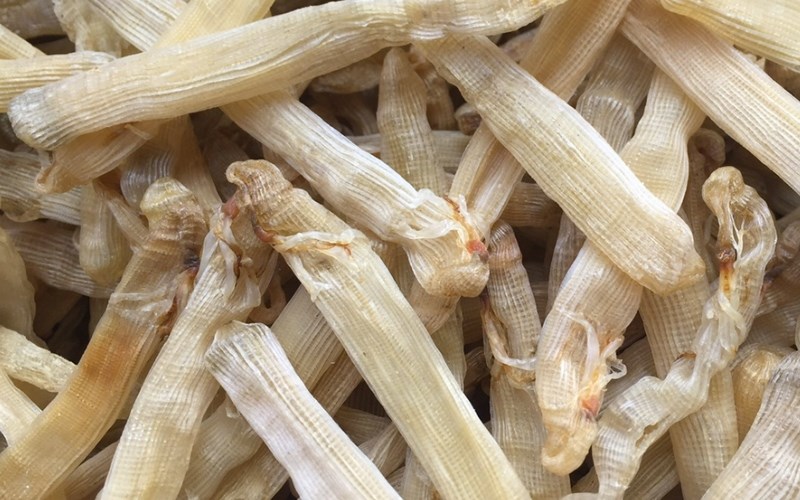 Sá sùng khô