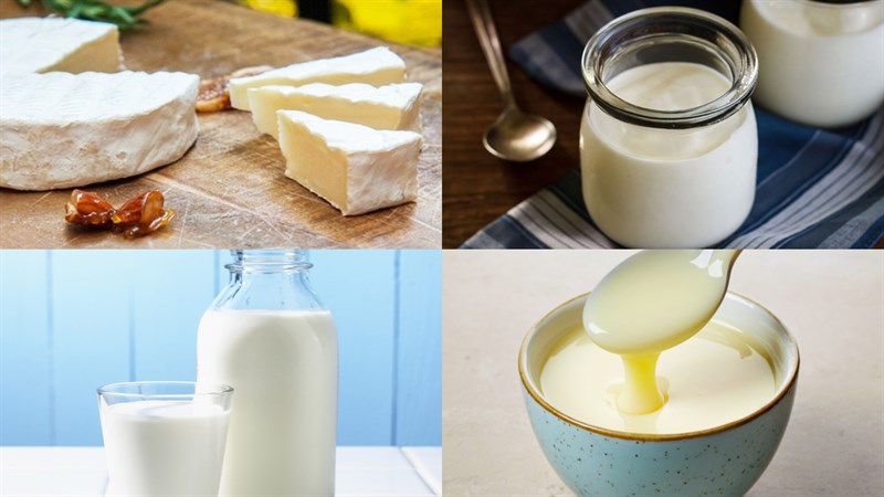 Nguyên liệu món ăn sữa chua phô mai