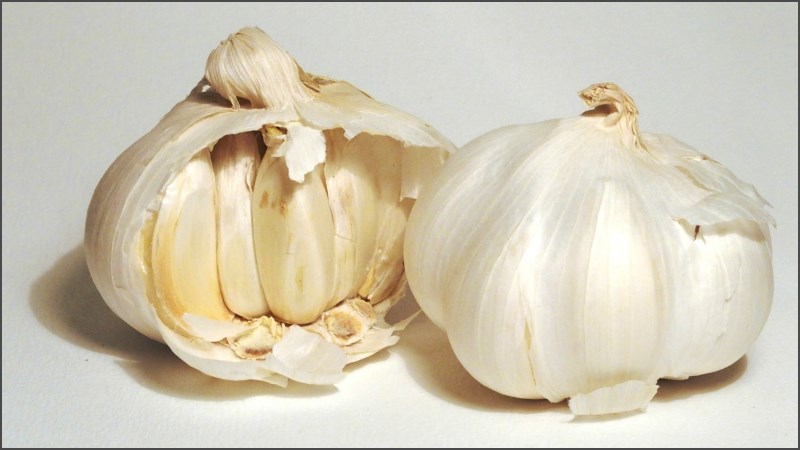 Tỏi Ý