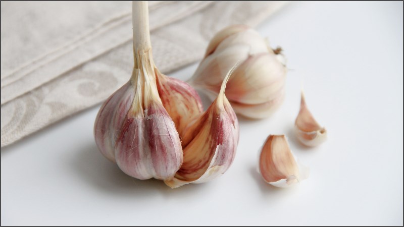 Cách bảo quản tỏi tươi