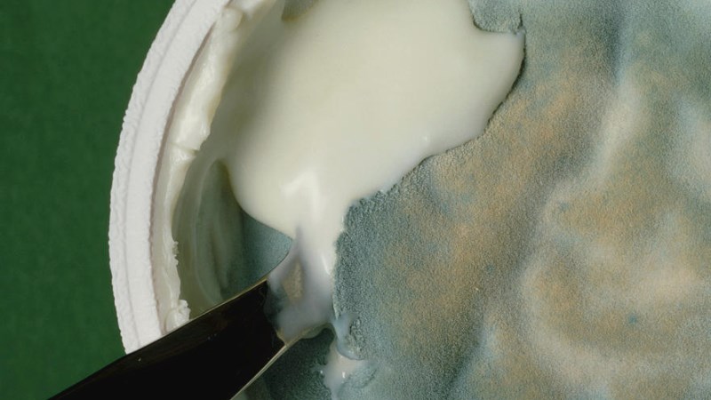 Kiểm tra những dấu hiệu trực quan 