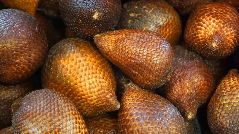 Nguồn gốc, đặc điểm
