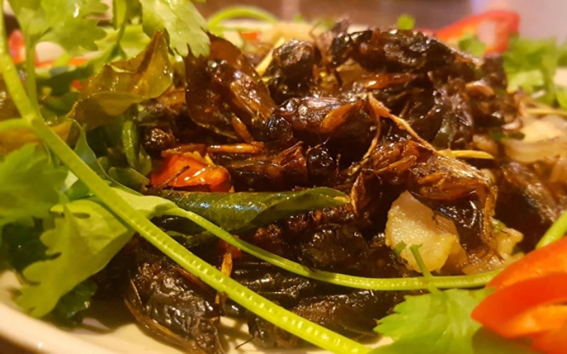 Dế cơm chiên nước mắm
