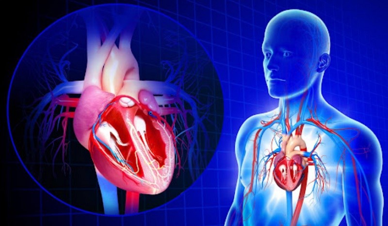 Chứa nhiều chất oxy hóa làm giảm nguy cơ mắc các bệnh mãn tính