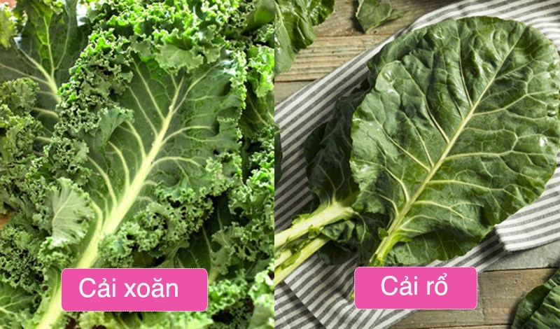Sự khác biệt giữa Kale và Collard Greens