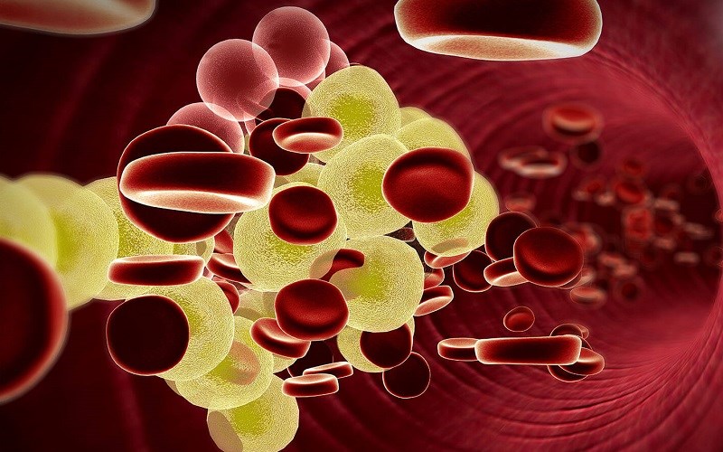 Làm giảm lipid máu