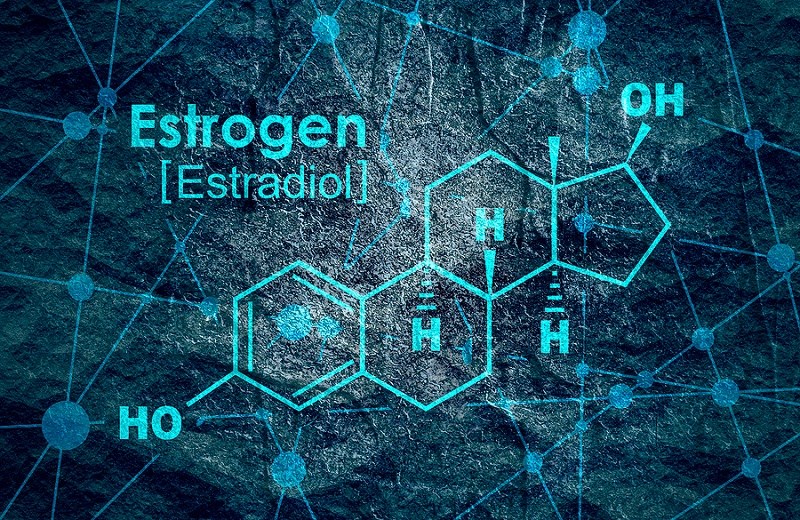 Estradiol (E2)