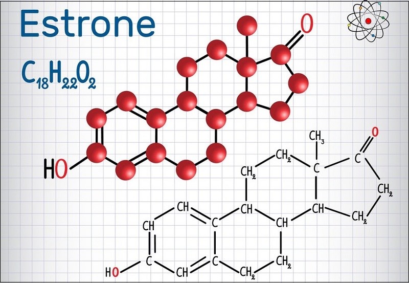 Estrone (E1)