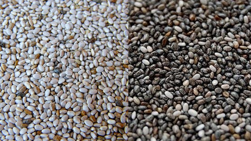 So sánh hạt chia trắng và hạt chia đen