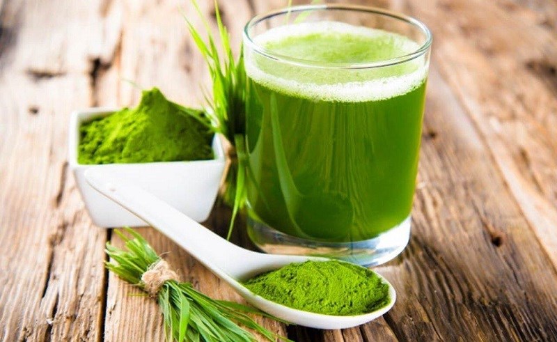 Cỏ lúa mì