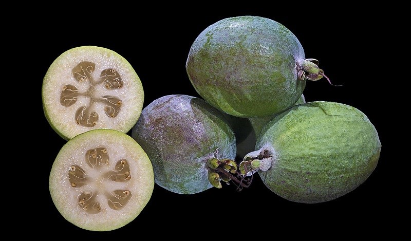 Tìm hiểu ổi dứa - Feijoa là quả gì?