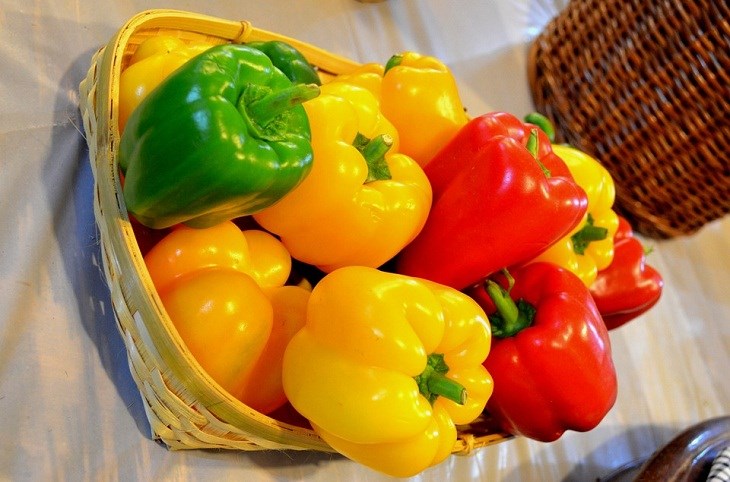Đặc điểm của ớt chuông