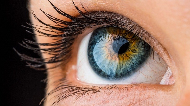 Cải thiện và hỗ trợ sức khỏe mắt