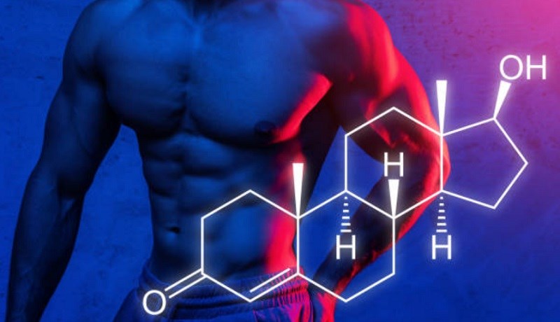 Testosterone là gì?