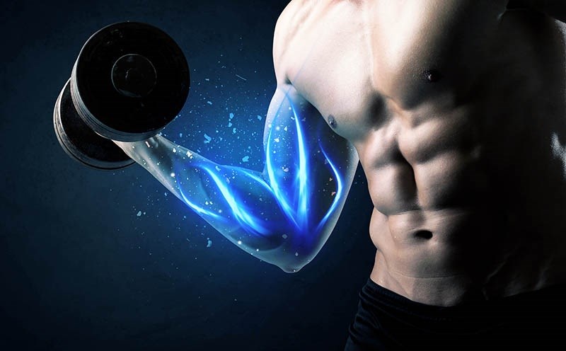 Hỗ trợ hình thành đặc điểm trên cơ thể nam giới