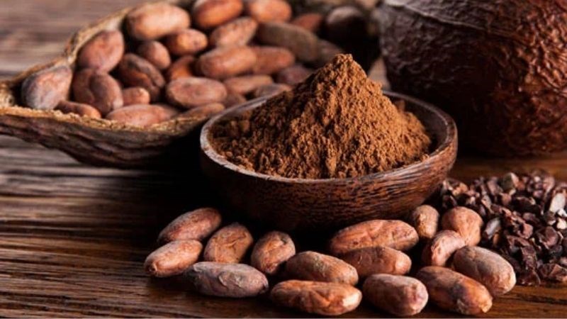 Nên uống bột ca cao vào lúc nào?