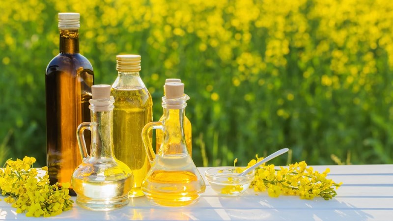 Dầu hạt cải - Canola oil là gì?