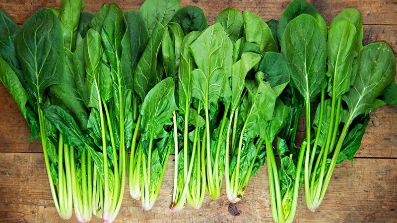 Cải bó xôi