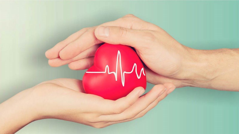 Củ cần tây tốt cho sức khỏe tim mạch