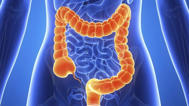 Củ cần tây hỗ trợ tiêu hóa