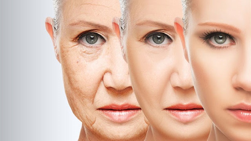 Cà rốt chứa nhiều chất chống oxy hóa