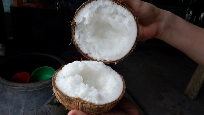 Cách nhận biết dừa sáp