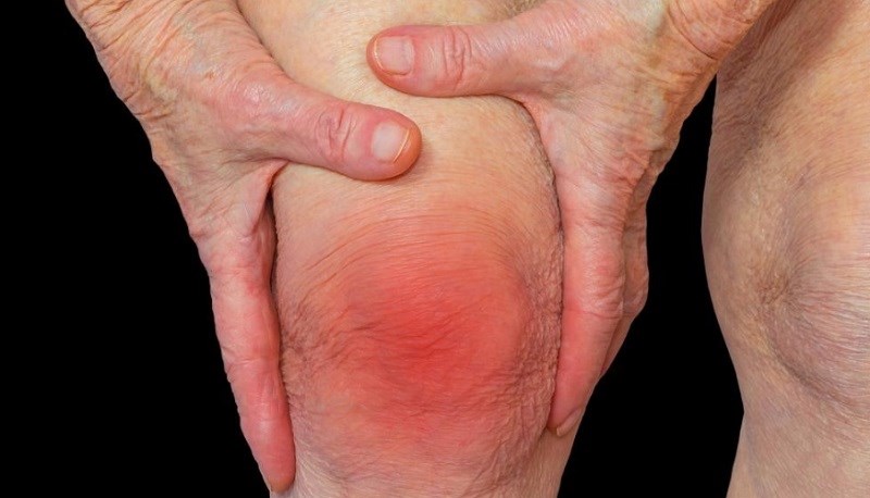 Nhiều chất dinh dưỡng và chất chống oxy hóa