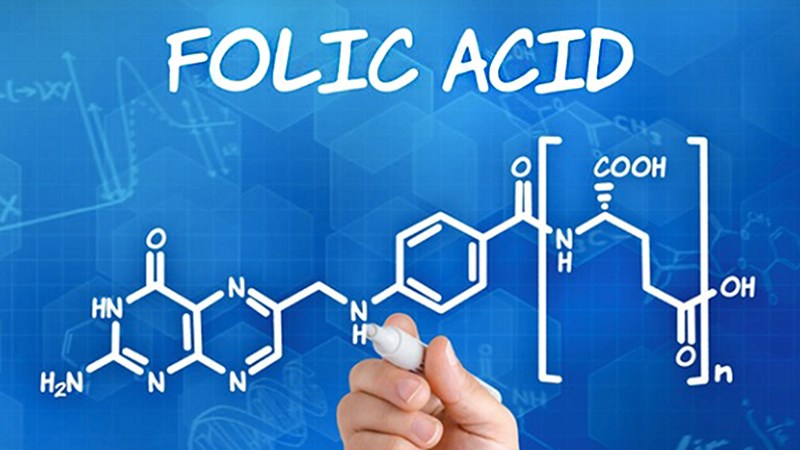 Đặc điểm và vai trò của axit folic