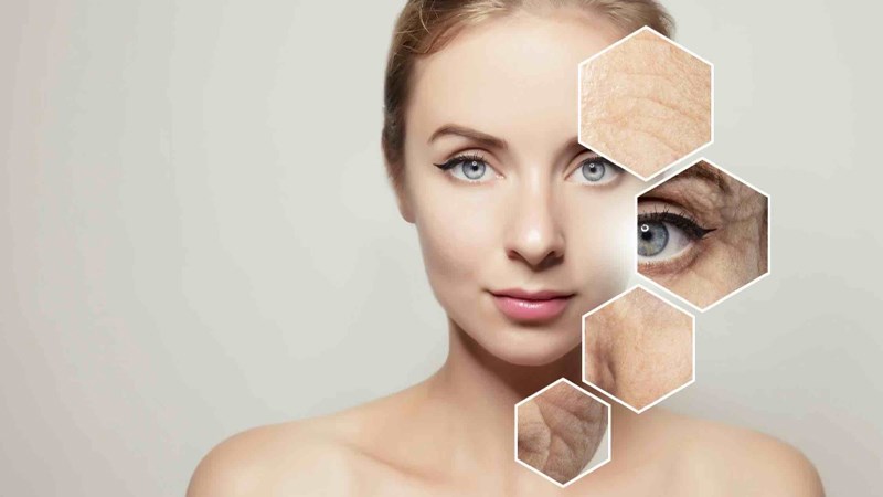 Cây dương xỉ có tác dụng chống nắng, phòng ngừa lão hóa da