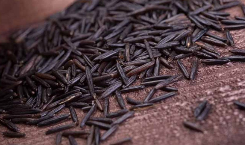 Có thể chứa độc tính Ergot