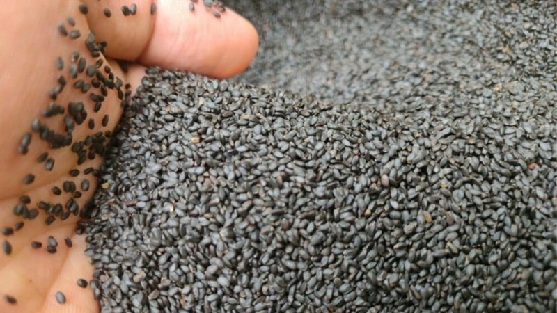 Giá trị dinh dưỡng của hạt é