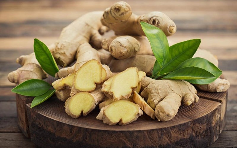 Gừng