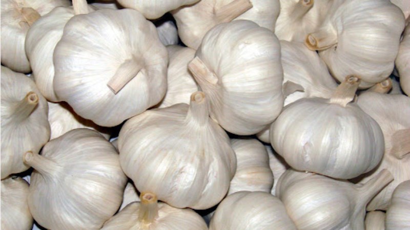 Tỏi Hải Dương