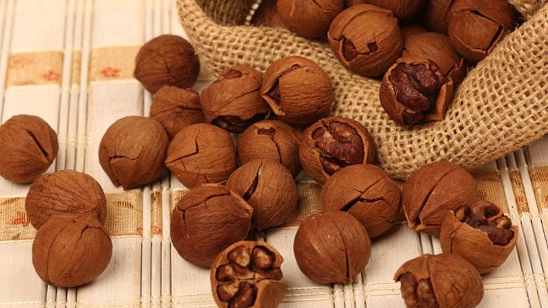 Hạt hickory giúp tăng cân lành mạnh