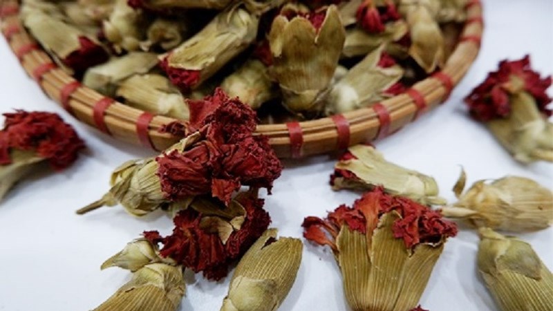 Trà hoa cẩm chướng