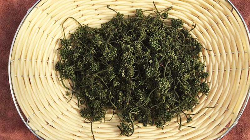 Trà hoa sâm