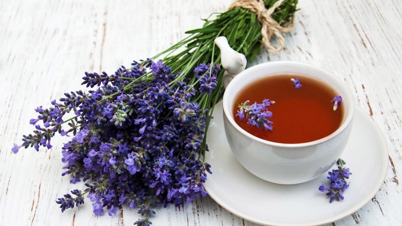 Trà hoa oải hương