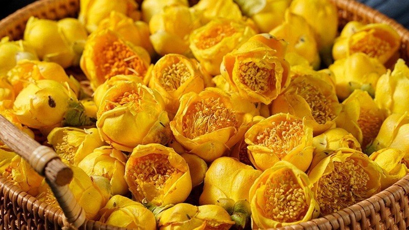 Trà hoa vàng