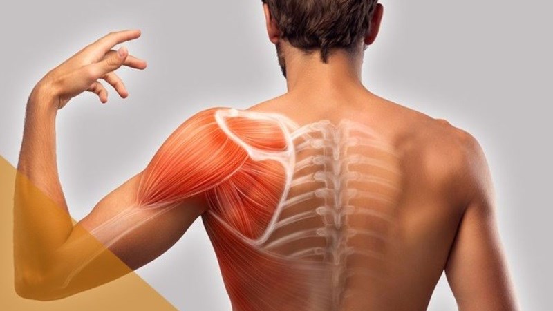 Hỗ trợ sự phát triển cơ thể